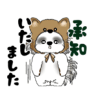 B＆W シーズー犬 2025 「猫をかぶりました」（個別スタンプ：14）