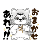 B＆W シーズー犬 2025 「猫をかぶりました」（個別スタンプ：17）