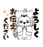 B＆W シーズー犬 2025 「猫をかぶりました」（個別スタンプ：19）