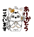 B＆W シーズー犬 2025 「猫をかぶりました」（個別スタンプ：21）