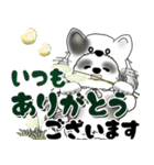 B＆W シーズー犬 2025 「猫をかぶりました」（個別スタンプ：22）