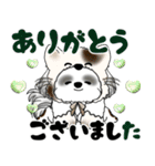 B＆W シーズー犬 2025 「猫をかぶりました」（個別スタンプ：23）