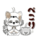 B＆W シーズー犬 2025 「猫をかぶりました」（個別スタンプ：24）