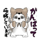 B＆W シーズー犬 2025 「猫をかぶりました」（個別スタンプ：25）