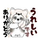 B＆W シーズー犬 2025 「猫をかぶりました」（個別スタンプ：26）