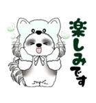 B＆W シーズー犬 2025 「猫をかぶりました」（個別スタンプ：27）