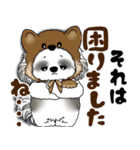 B＆W シーズー犬 2025 「猫をかぶりました」（個別スタンプ：30）