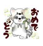 B＆W シーズー犬 2025 「猫をかぶりました」（個別スタンプ：32）