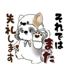 B＆W シーズー犬 2025 「猫をかぶりました」（個別スタンプ：35）