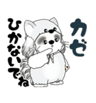 B＆W シーズー犬 2025 「猫をかぶりました」（個別スタンプ：36）