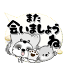 B＆W シーズー犬 2025 「猫をかぶりました」（個別スタンプ：37）