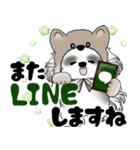 B＆W シーズー犬 2025 「猫をかぶりました」（個別スタンプ：38）