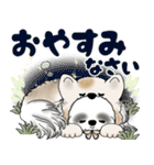 B＆W シーズー犬 2025 「猫をかぶりました」（個別スタンプ：39）