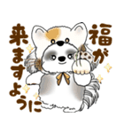 B＆W シーズー犬 2025 「猫をかぶりました」（個別スタンプ：40）