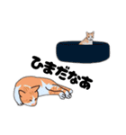 島猫にゃるずスタンプ（個別スタンプ：9）