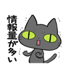 猫団長1（個別スタンプ：24）