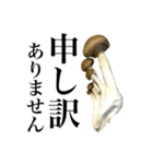 敬語しめじ（個別スタンプ：5）