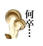敬語しめじ（個別スタンプ：6）