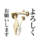 敬語しめじ（個別スタンプ：7）