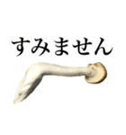敬語しめじ（個別スタンプ：10）