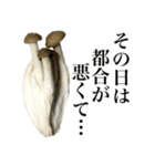 敬語しめじ（個別スタンプ：16）