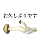 敬語しめじ（個別スタンプ：17）