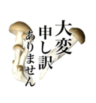 敬語しめじ（個別スタンプ：18）