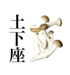 敬語しめじ（個別スタンプ：20）