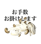 敬語しめじ（個別スタンプ：23）