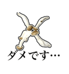 敬語しめじ（個別スタンプ：25）
