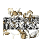 敬語しめじ（個別スタンプ：26）