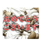 敬語しめじ（個別スタンプ：28）