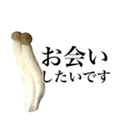 敬語しめじ（個別スタンプ：32）