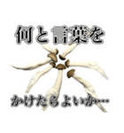 敬語しめじ（個別スタンプ：36）