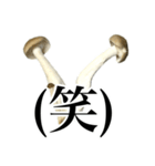 敬語しめじ（個別スタンプ：37）