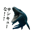 ⚫モササウルス3【毎日使える恐竜シリーズ】（個別スタンプ：2）