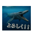 ⚫モササウルス3【毎日使える恐竜シリーズ】（個別スタンプ：5）