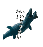 ⚫モササウルス3【毎日使える恐竜シリーズ】（個別スタンプ：22）