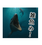 ⚫モササウルス3【毎日使える恐竜シリーズ】（個別スタンプ：23）