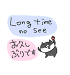 和英表記のねこねーこ（個別スタンプ：4）