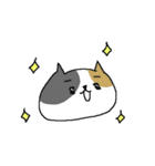 和英表記のねこねーこ（個別スタンプ：40）