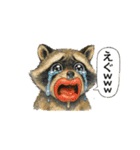 くちびるアライグマ君（個別スタンプ：21）