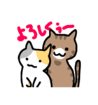 ねこねこの住む家（個別スタンプ：9）