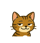 ベンガルにゃんの気まぐれ劇場@SFW（個別スタンプ：1）