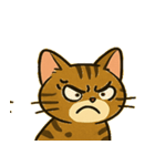 ベンガルにゃんの気まぐれ劇場@SFW（個別スタンプ：2）