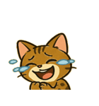 ベンガルにゃんの気まぐれ劇場@SFW（個別スタンプ：4）