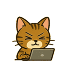 ベンガルにゃんの気まぐれ劇場@SFW（個別スタンプ：11）