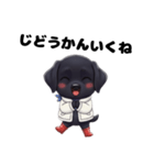 くろいぬのドーナツ（個別スタンプ：12）
