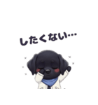 くろいぬのドーナツ（個別スタンプ：18）