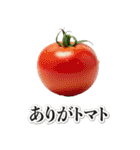 これはダジャレ（個別スタンプ：1）